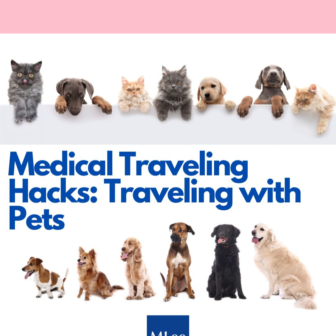 Medical Traveling Hacks: Traveling with Pets